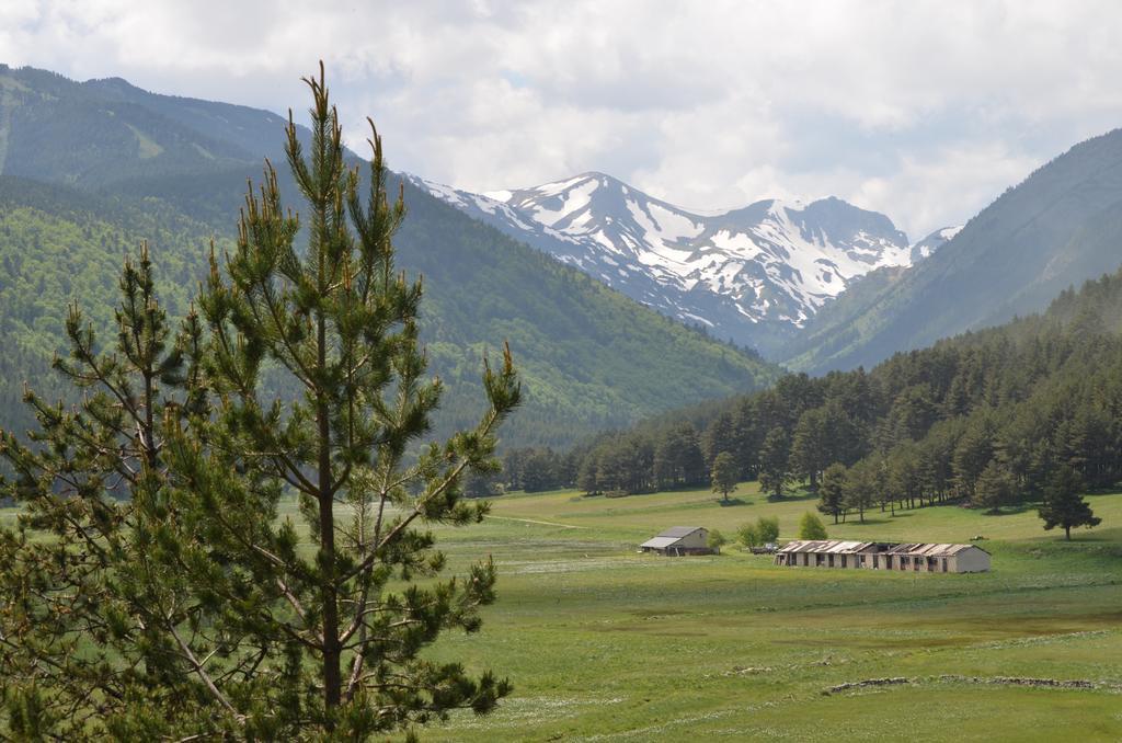 Font-Romeu-Odeillo-Via Residence Les Cimes מראה חיצוני תמונה